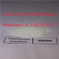 CAS 315-37-7 스테로이드 분말